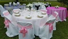 Pink Sashes Pink Sashes
